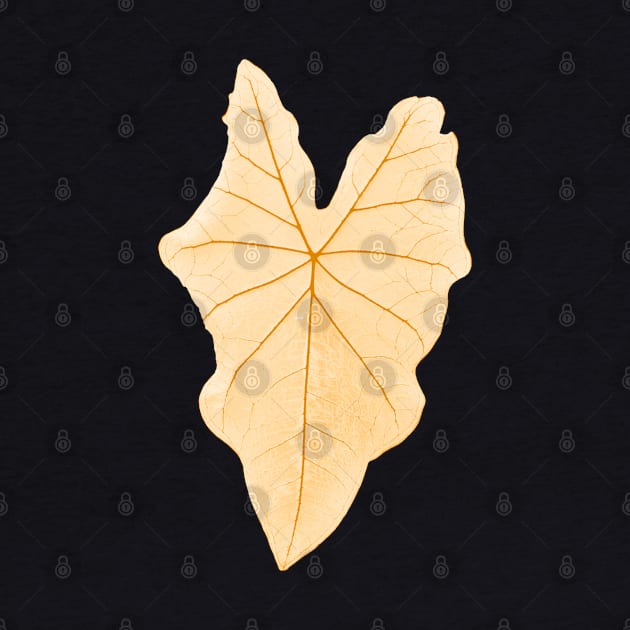 Leaf Yellow by RaphaelWolf